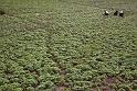 WT 1000 165-06 Nepal